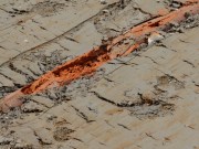 Field Drain, Eddleston. Photo Jules Horne