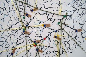 Catchment Conversations Photo Kate Foster