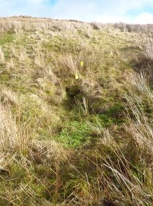 dispathches from the source 009