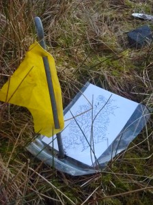 Dispatches from the Source