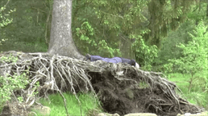 Improvisation beside dry river bed, River Allen,  May 2014 . Dancer Tim Rubidge. 
